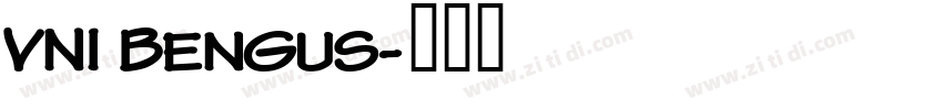 VNI Bengus字体转换